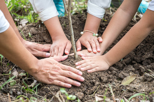 Planting trees with Planet Tree - our small investment in a greener future